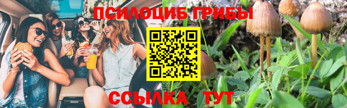 Псилоцибиновые грибы Magic Shrooms  Вход с VPN  Красноармейск  Псилоцибиновые грибы прущие грибы 